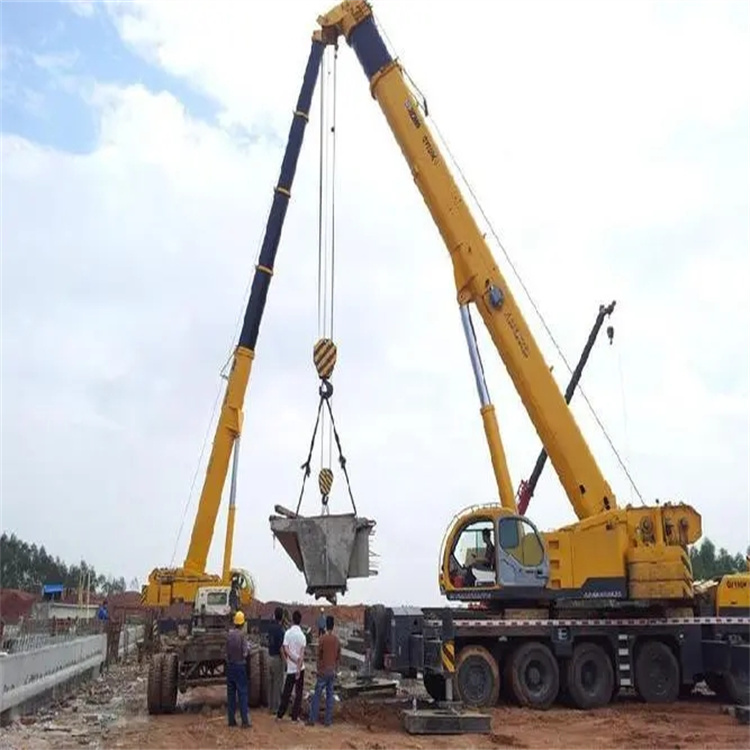 西沙小型吊机出租电话|厂房设备吊装方案|24小时服务覆盖